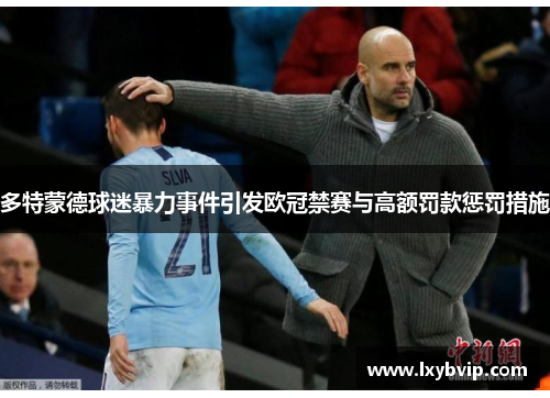 多特蒙德球迷暴力事件引发欧冠禁赛与高额罚款惩罚措施